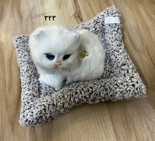 گربه بالشتی سایز 1 _کد 323